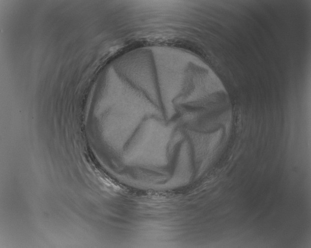 X0000076451153200611031924