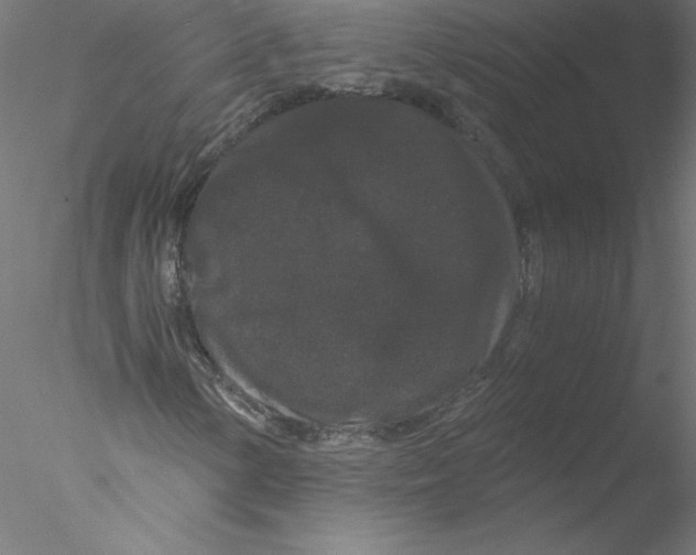 X0000076451154200611031924