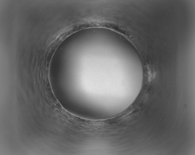 X0000076451157200611031924