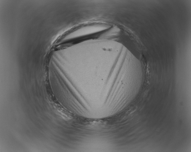 X0000076451160200611031924