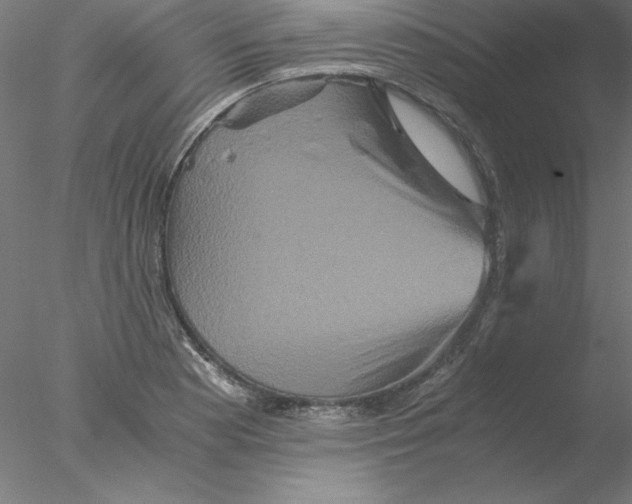 X0000076451177200611031923
