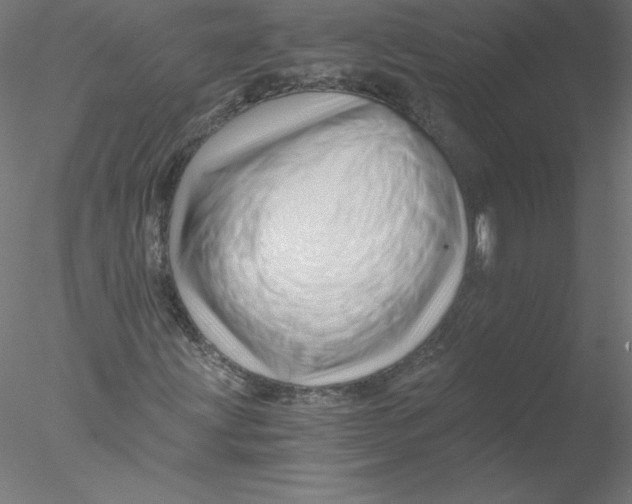 X0000076451203200611031922