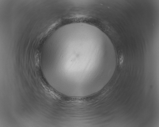 X0000076451204200611031922