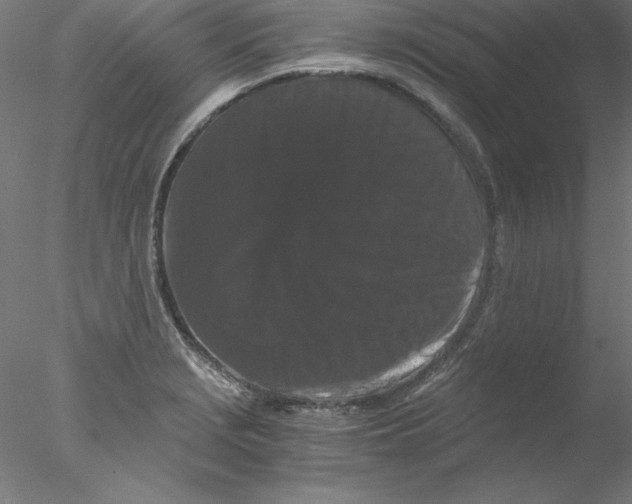 X0000076451229200611031923