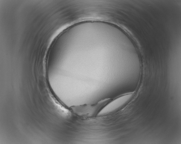 X0000076451238200611031923