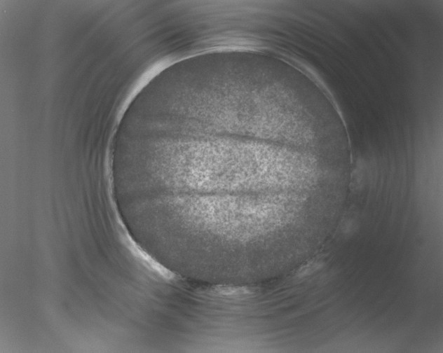 X0000076451243200611031923