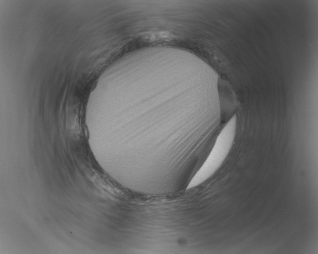X0000076451250200611031922