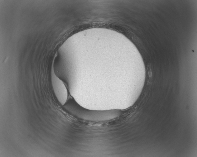 X0000076451252200611031922