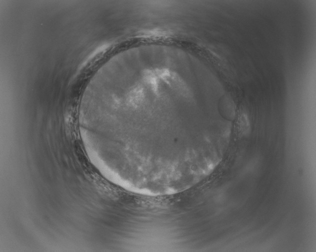 X0000076451254200611031922
