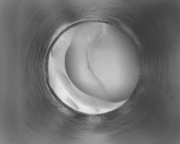 X0000076451291200611031921