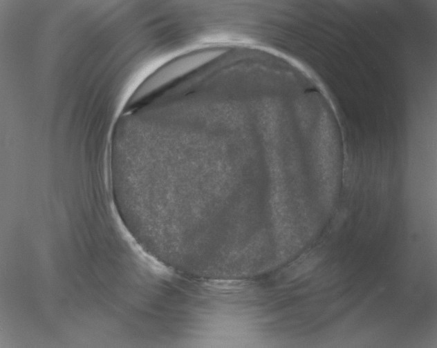 X0000076451295200611031921