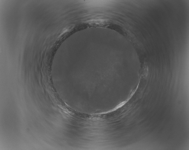 X0000076451297200611031921