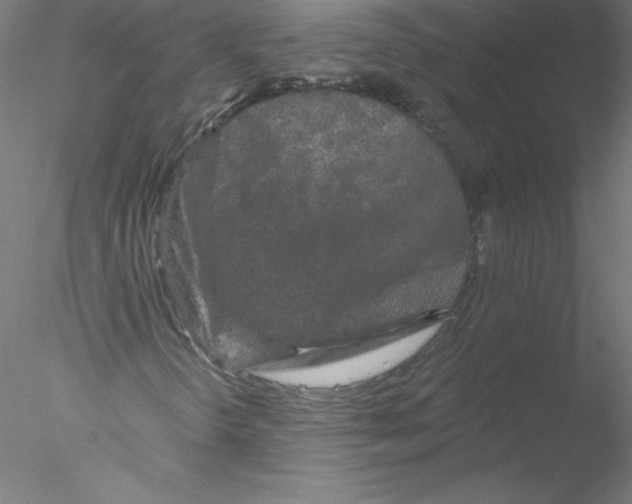 X0000076451298200611031921