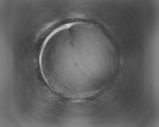 X0000076451303200611031921