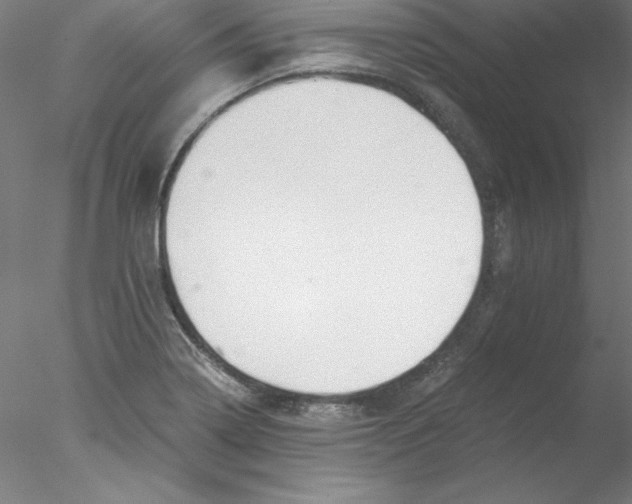 X0000076451322200611031921