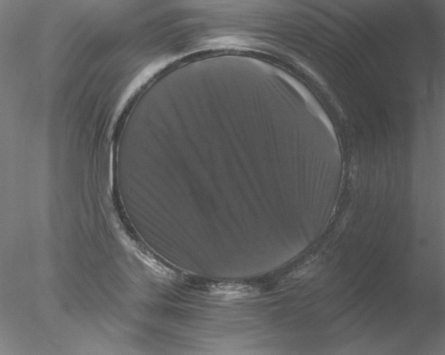 X0000076451323200611031921