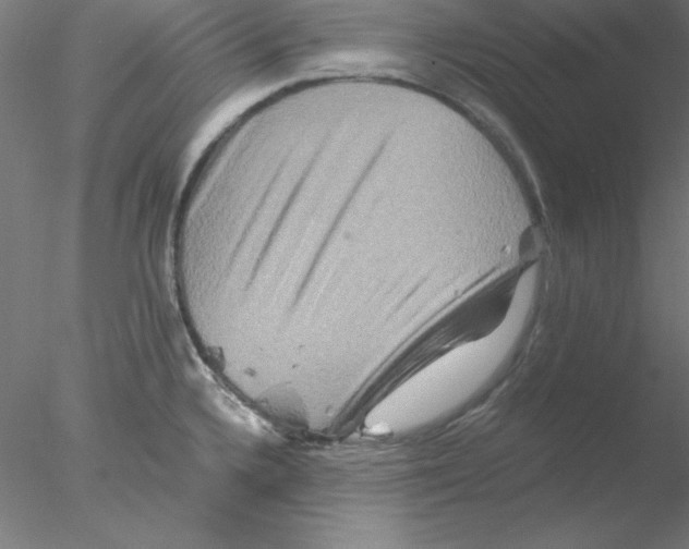 X0000076451336200611031921