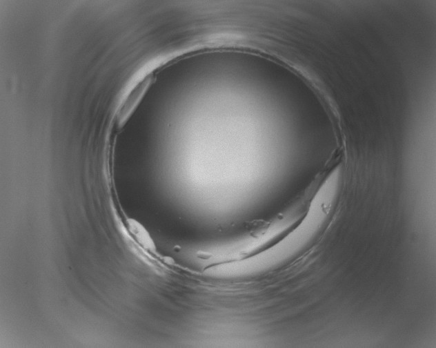 X0000076451342200611031921