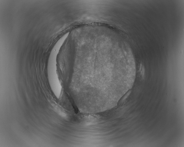 X0000076451348200611031920