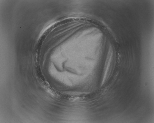 X0000076451352200611031920