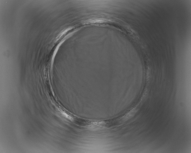 X0000076451353200611031920