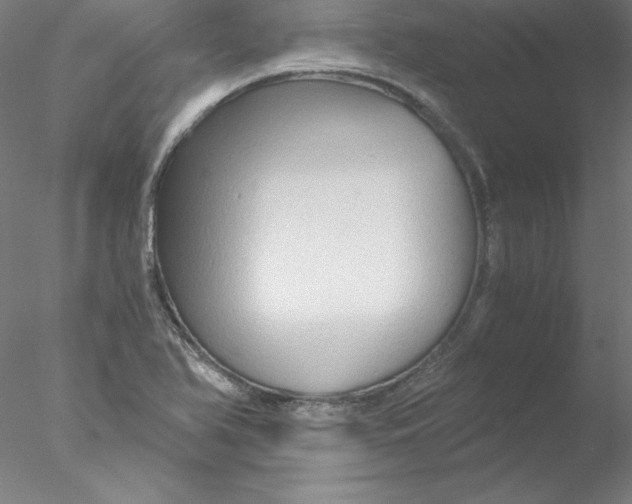 X0000076451366200611031920