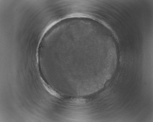 X0000076451372200611031920