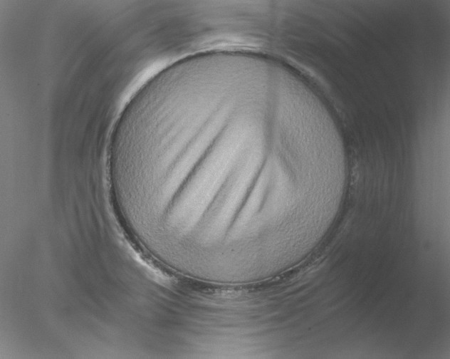 X0000076451375200611031920