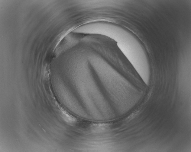 X0000076451377200611031920