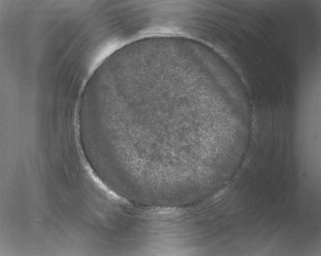 X0000076451382200611031920