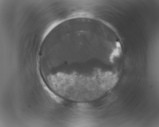 X0000076451383200611031920