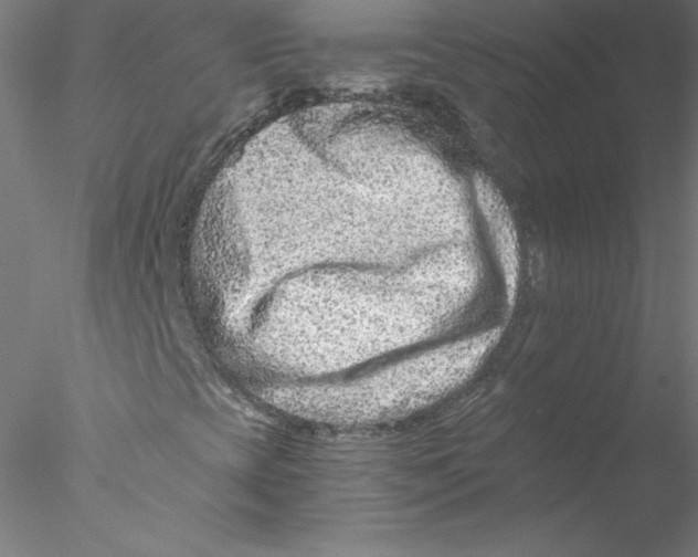 X0000076451393200611031919