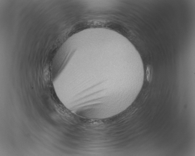 X0000076451395200611031919