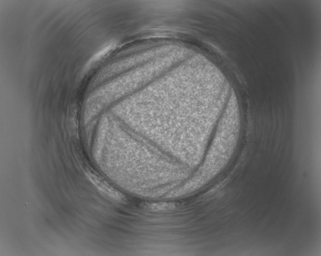 X0000076451403200611031919