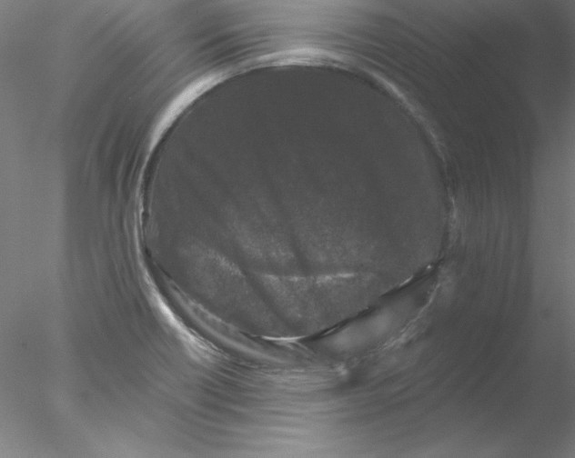 X0000076451418200611031919