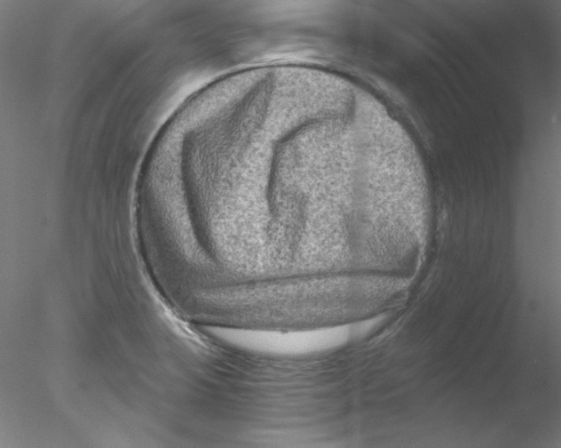 X0000076451423200611031919