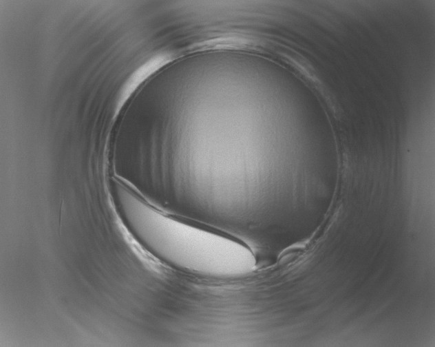 X0000076451426200611031919