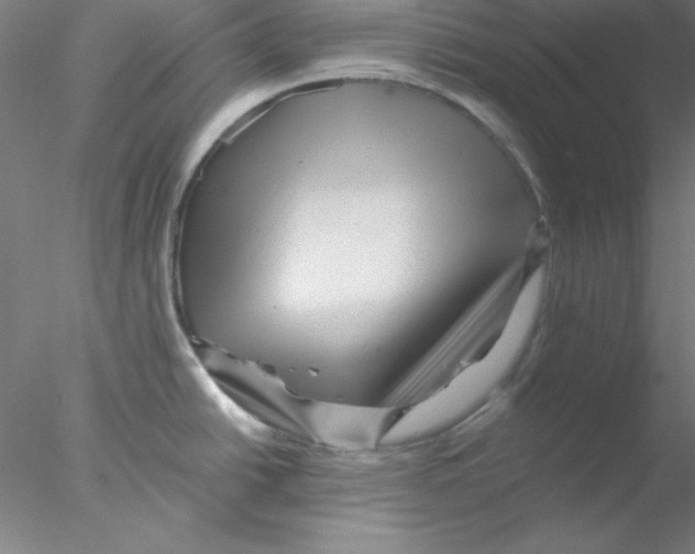 X0000076451438200611031920
