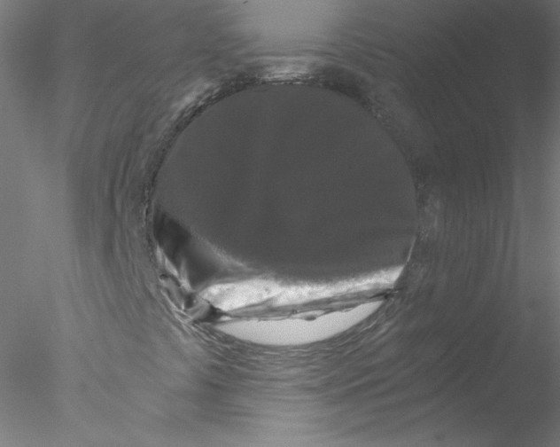 X0000076451441200611031919