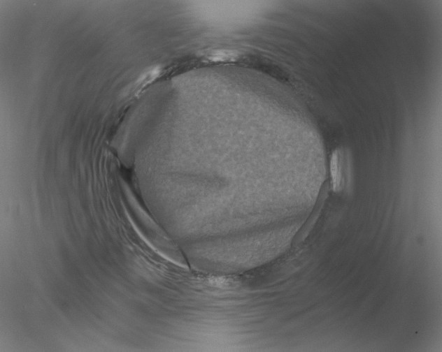 X0000076451443200611031919