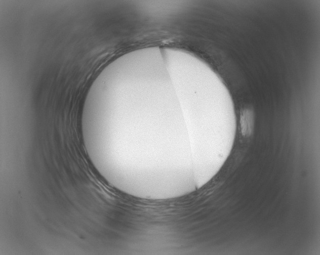 X0000076451444200611031919