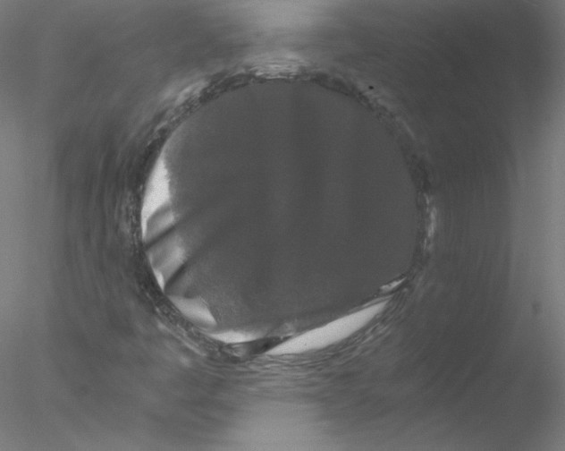 X0000076451445200611031919