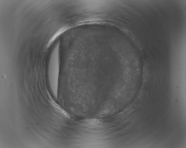 X0000076451450200611031919