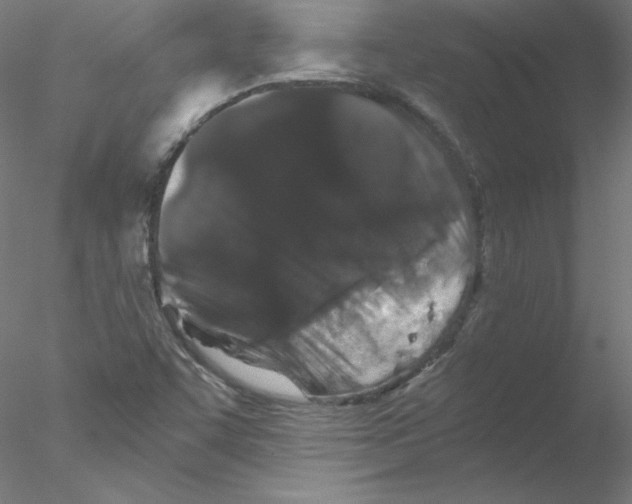 X0000076451455200611031919