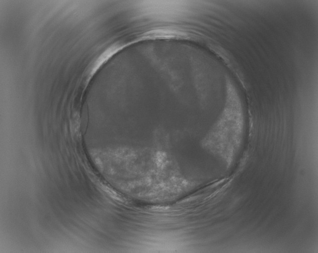 X0000076451465200611031918