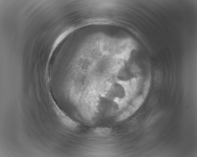 X0000076451466200611031918