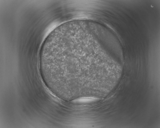 X0000076451467200611031918