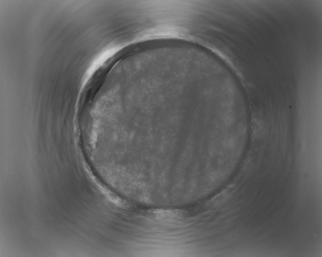 X0000076451469200611031918