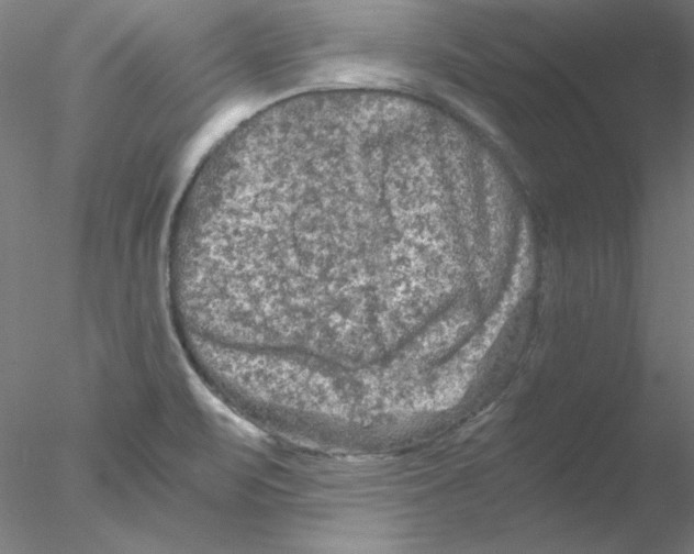 X0000076451471200611031918