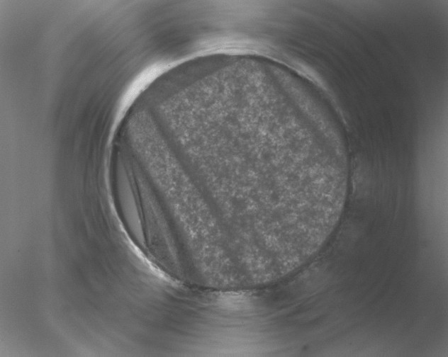 X0000076451472200611031918